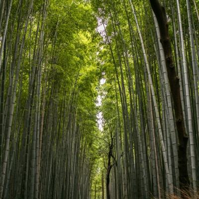 我在江湖今日游戏版本下载